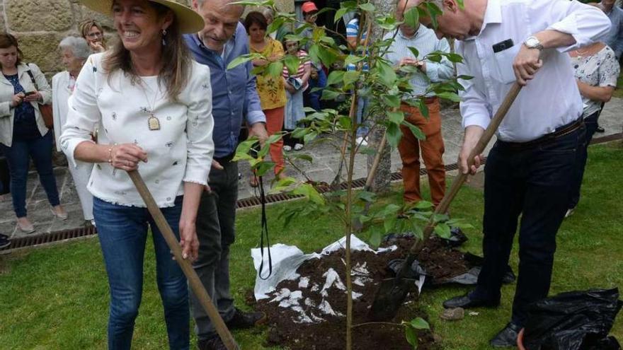 Un legado que dará sus frutos en flor - Faro de Vigo