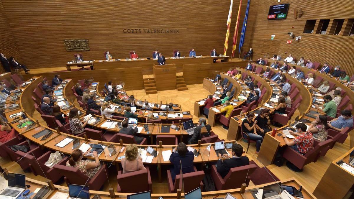 Los grupos parlamentarios y el Consell participan en una de las últimas sesiones plenarias celebradas en las Cortes valencianas antes del parón por el periodo estival.