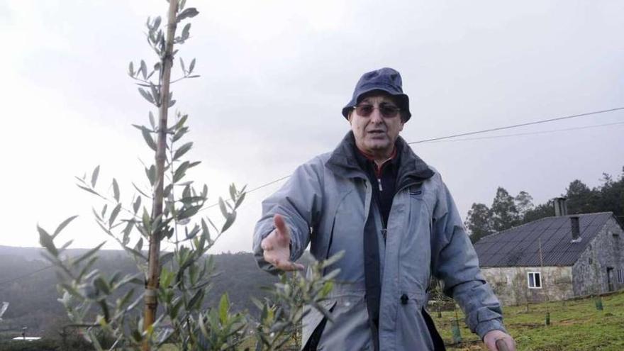 El párroco Paulino Sánchez es el gran artífice de la plantación de olivos de Setecoros. // Noé Parga