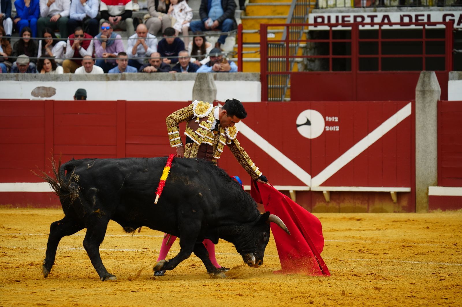 El festejo taurino de Pozoblanco, en imágenes