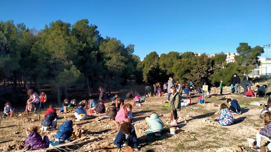 Escolares del colegio Valdespartera de Zaragoza plantan 700 árboles junto a su centro