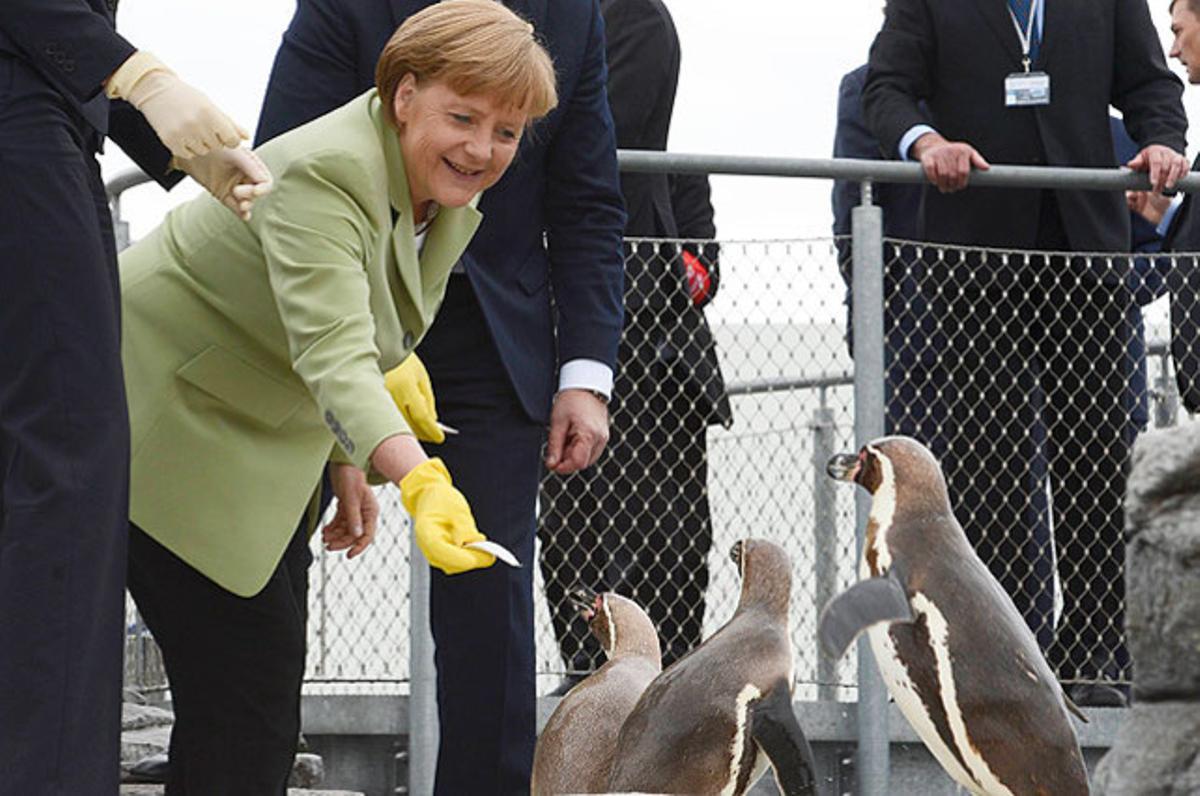 Angela Merkel alimenta uns pingüins a l’Oceaneum durant la cimera dels Estats del Mar Bàltic, a Stralsund (Alemanya).