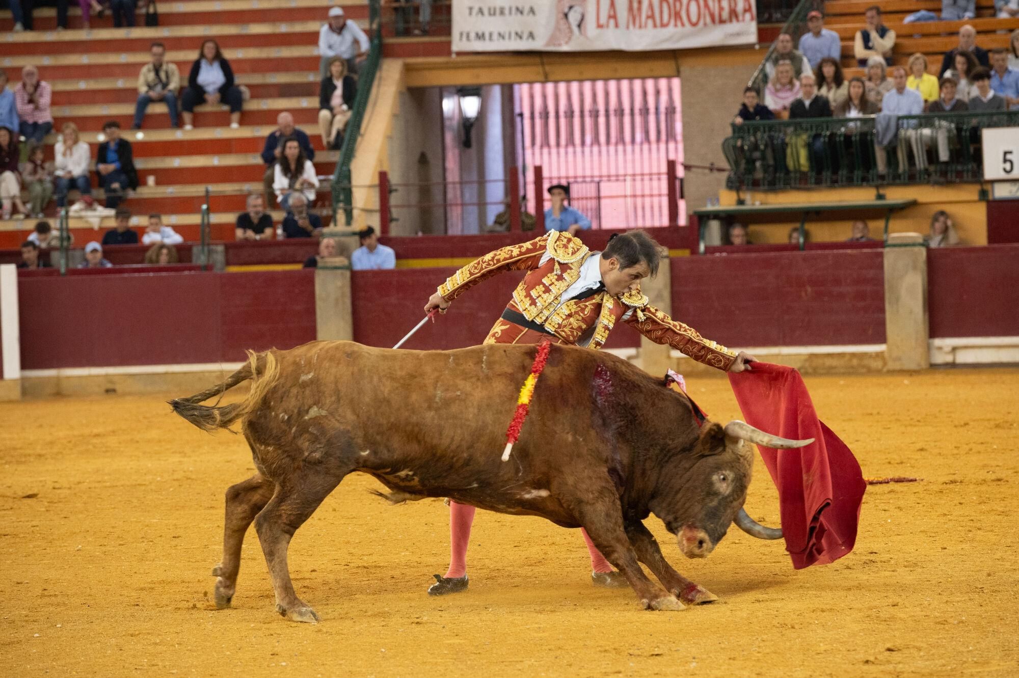 Concurso de ganaderías de la Feria del Pilar