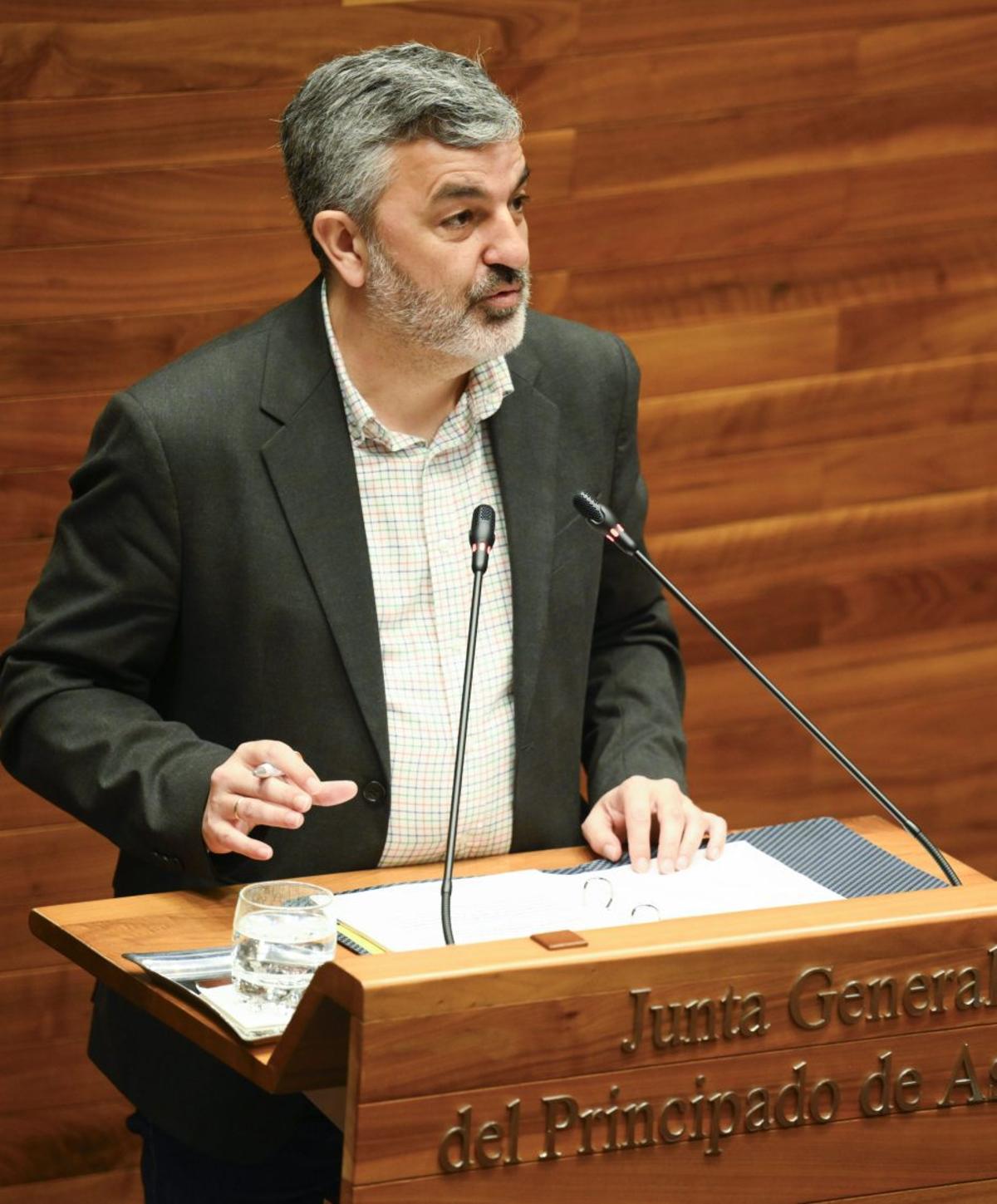 Alejandro Calvo, este martes en la Junta General.
