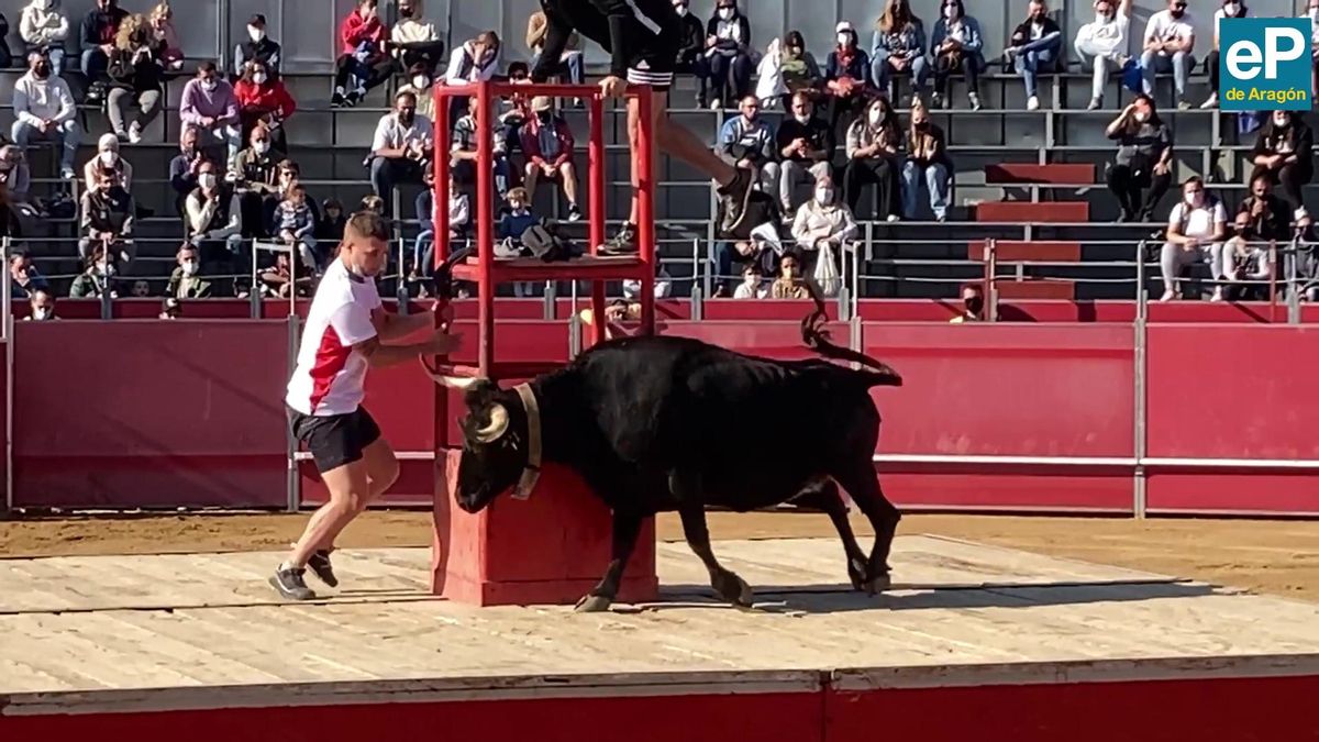 Mañana de vaquillas en la plaza de Casetas