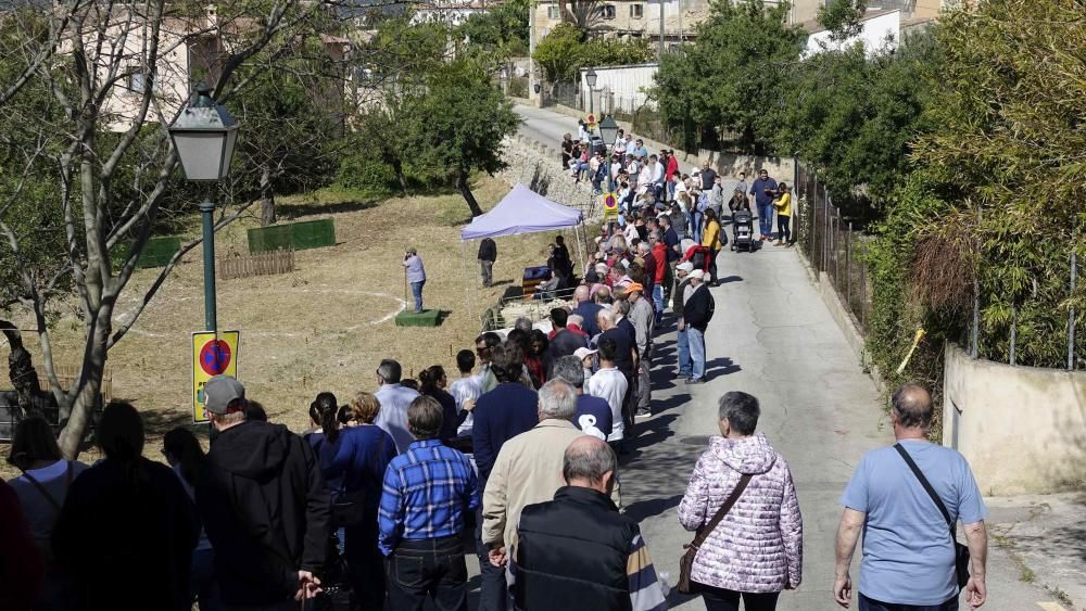 Calvià vila celebra la Fira d'Oví i Caprí