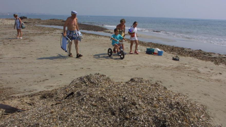 Una familia camina por la arena, en una foto de archivo.