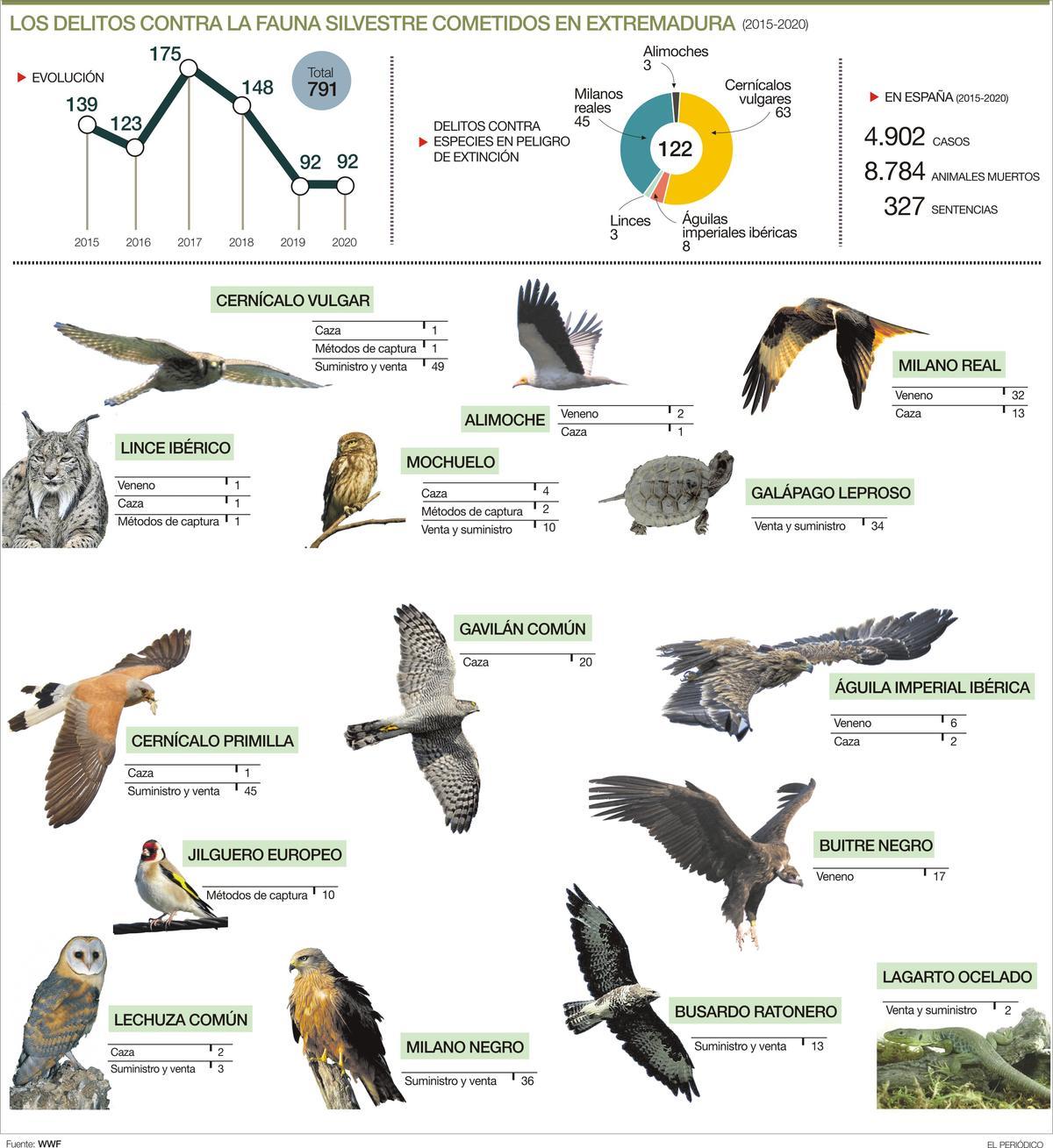 Extremadura registra una media anual de más de cien delitos contra la fauna