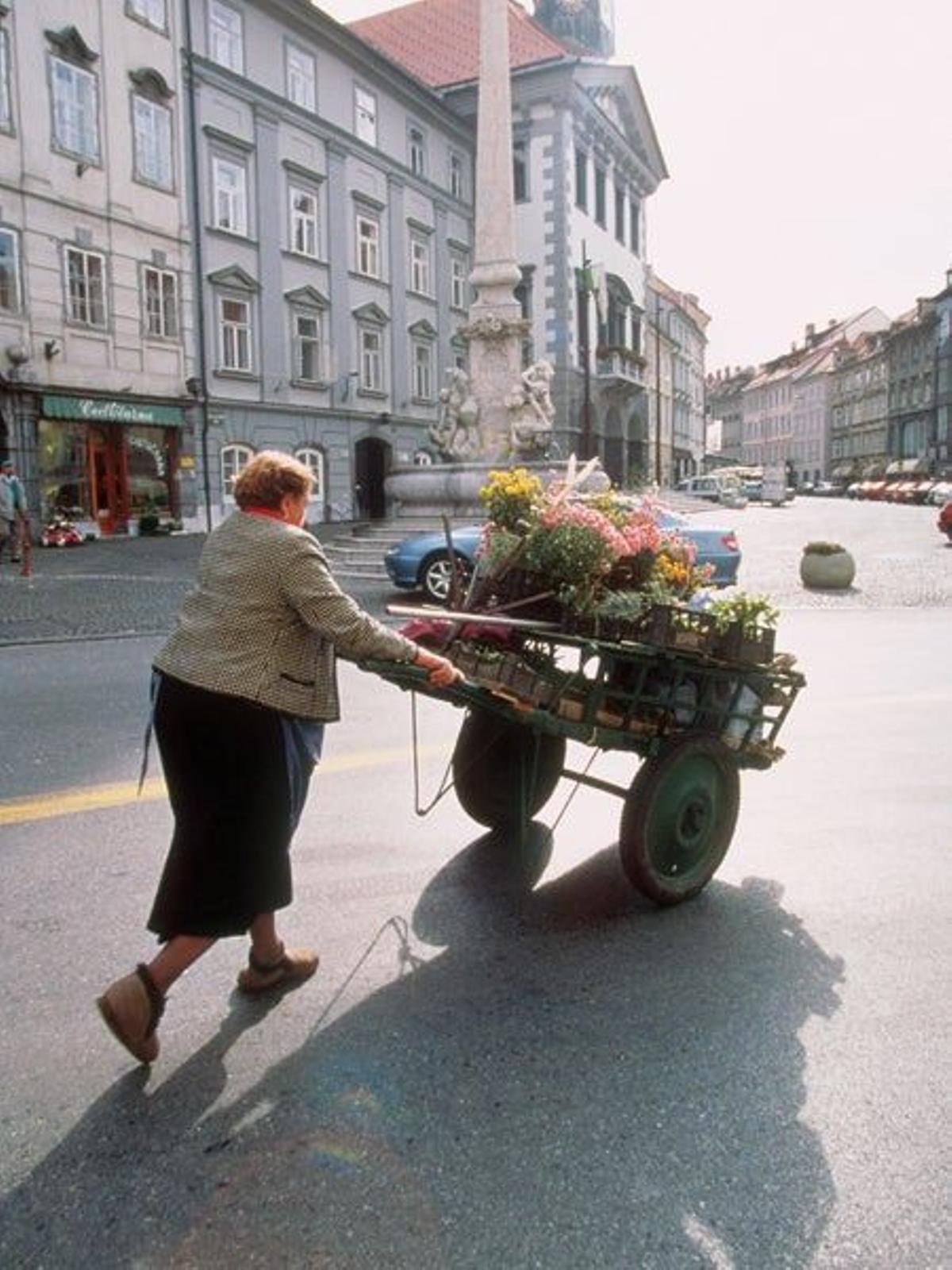 A orillas del Ljubljanica Ambas orillas del río Ljubljanica concentran bajo la sombr