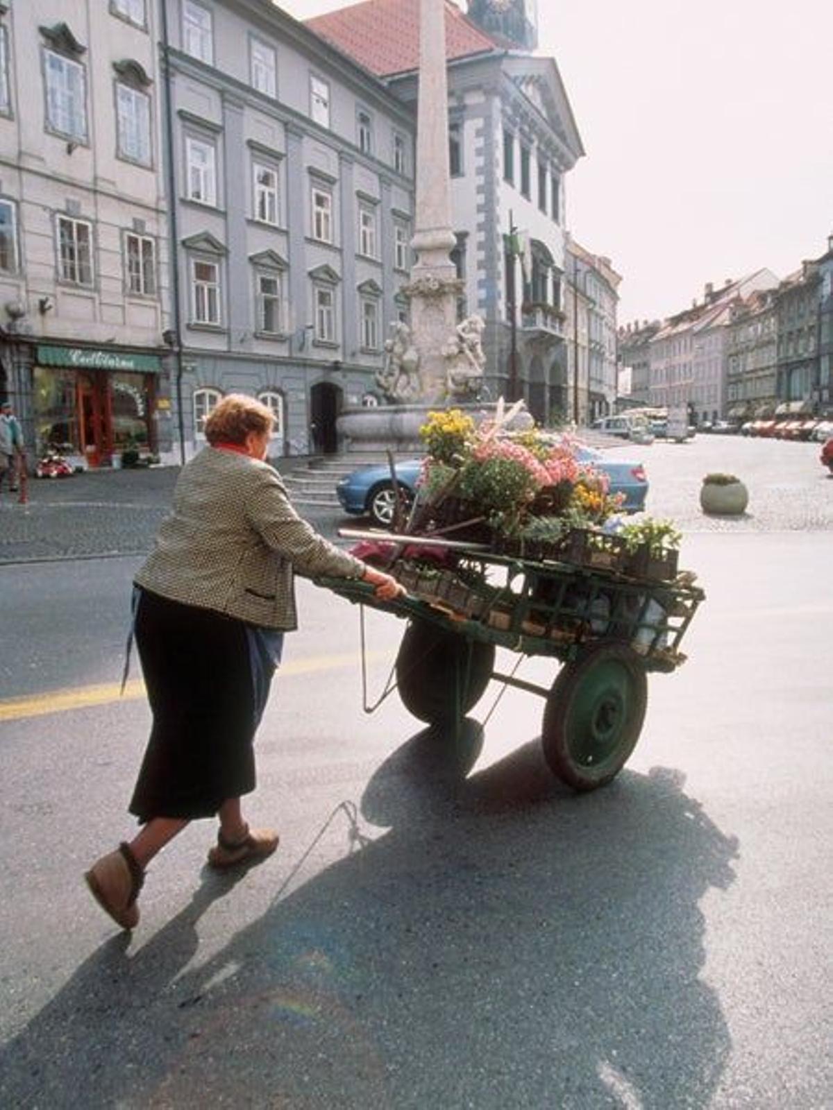 A orillas del Ljubljanica           Ambas orillas del río Ljubljanica concentran bajo la sombr