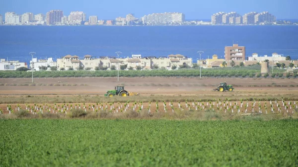 Tractores en un campo de cultivos en el entorno del Mar Menor.