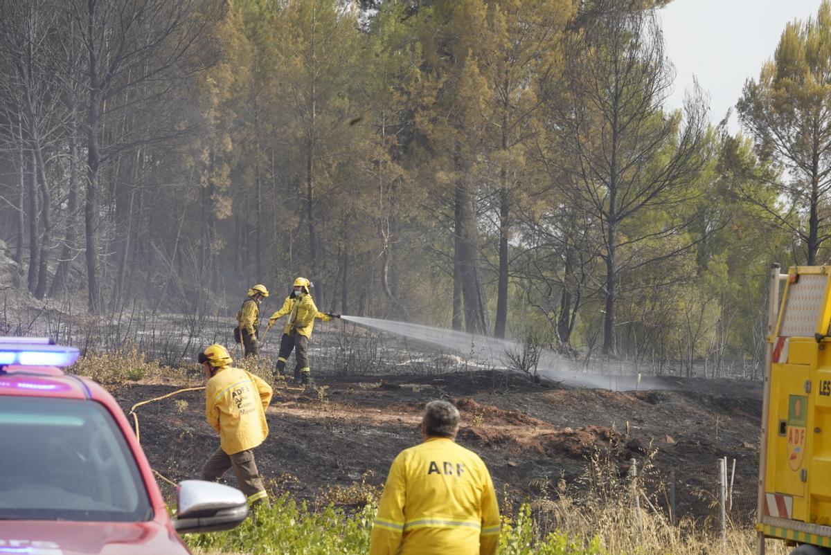 L'incendi d'Artés, en imatges