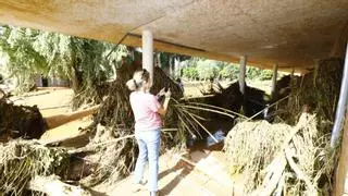 Sanidad busca un local para habilitar un centro de salud temporal en Azuara: "Mi cuadrilla ha ofrecido nuestra peña"