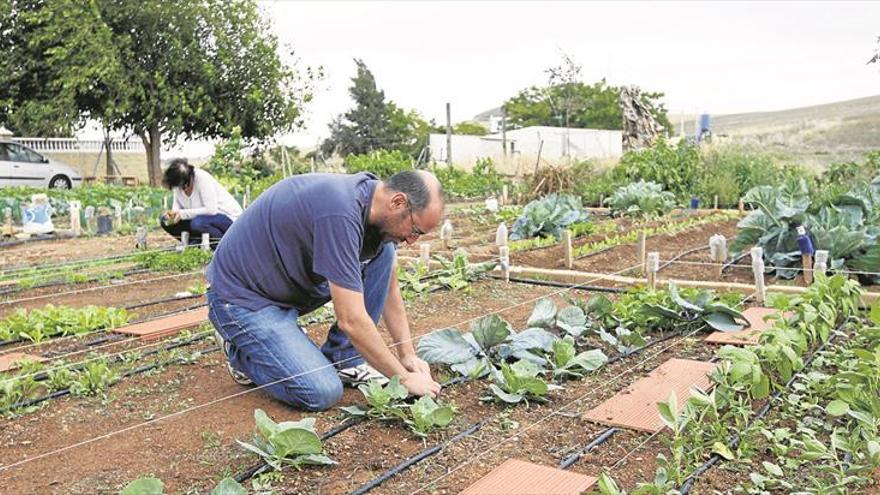 La agricultura ecológica explota en Castellón y crece un 50% en un año