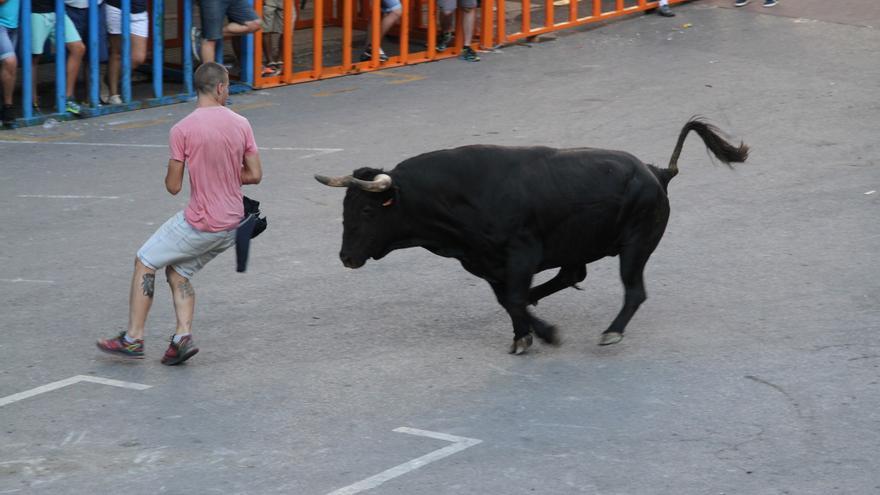 Archivo - Bous al carrer en Vilafamés