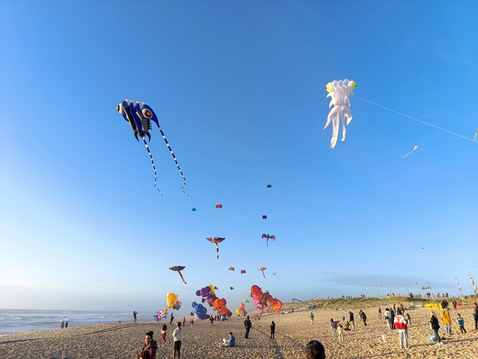 Magia para la vista: el festival de cometas que colorea el aire en Portugal