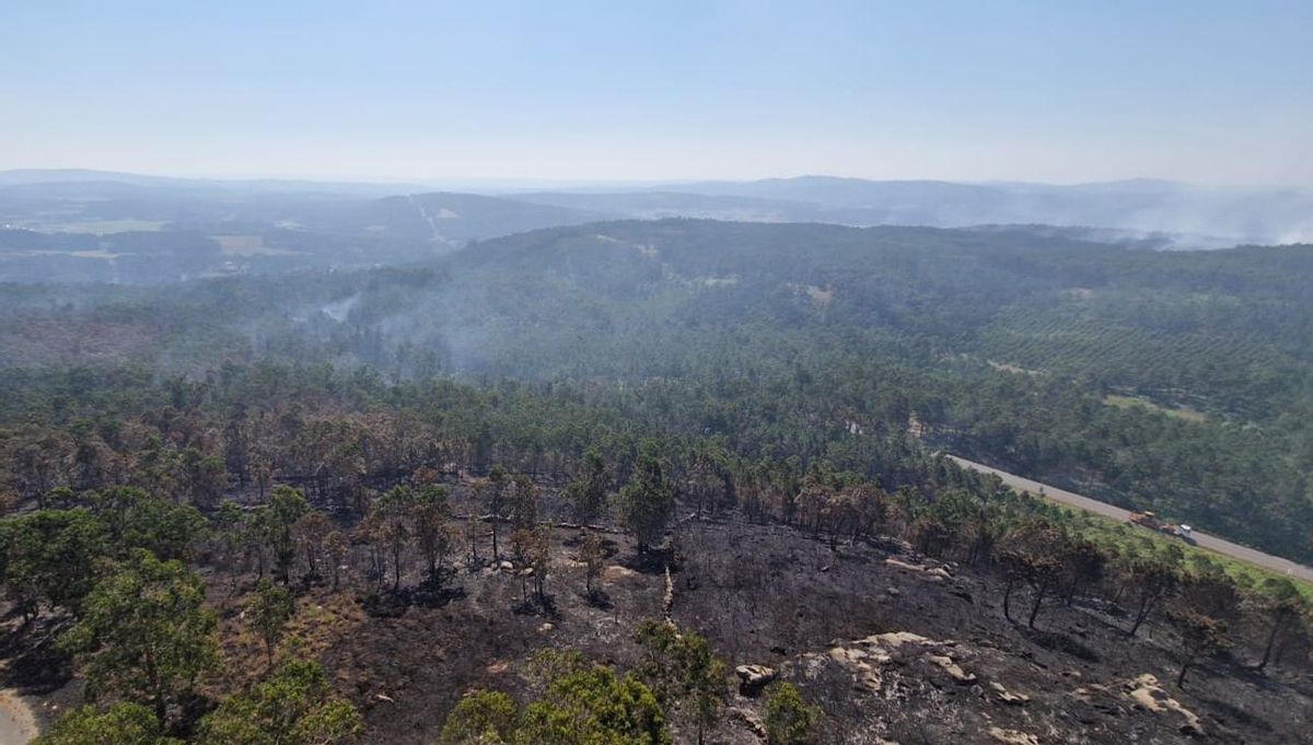 "Para prevenir incendios, escuchen más a la gente del campo y menos a los burócratas europeos"