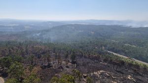 "Para prevenir incendios, escuchen más a la gente del campo y menos a los burócratas europeos"