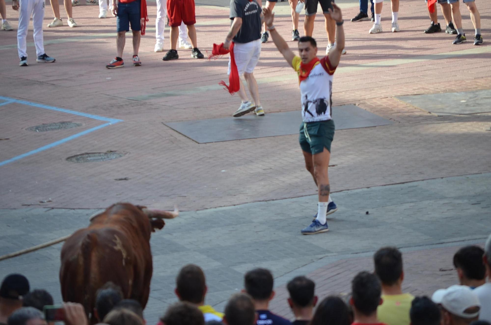 Así ha sido la carrera del torito Espléndido en Benavente
