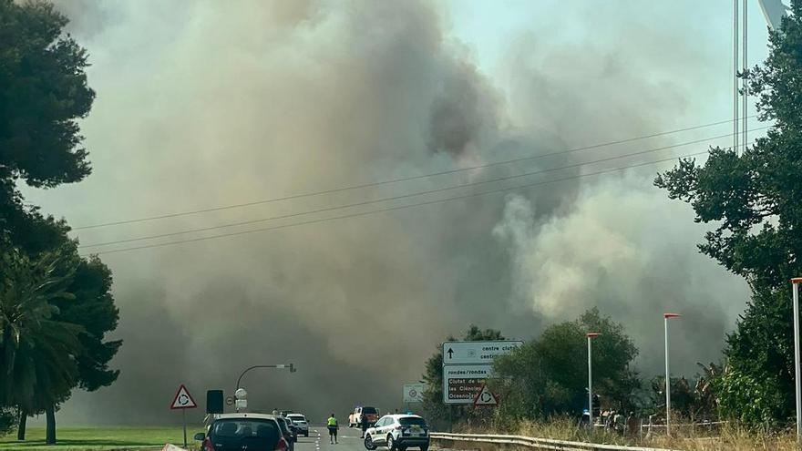 Un incendio junto a la rotonda del Saler y el Oceanogràfic corta la autovía a las playas