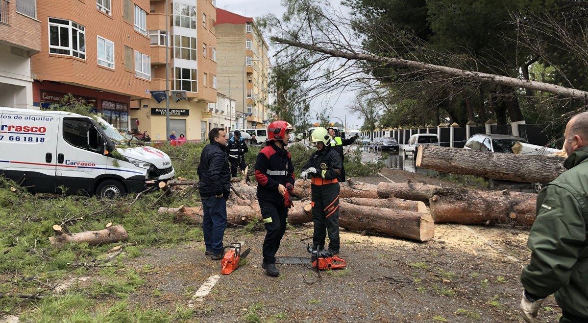 Ayuntamiento Albacete trabaja para restablecer la normalidad tras la caÃ­da de una quincena de Ã¡rboles en varias zonas