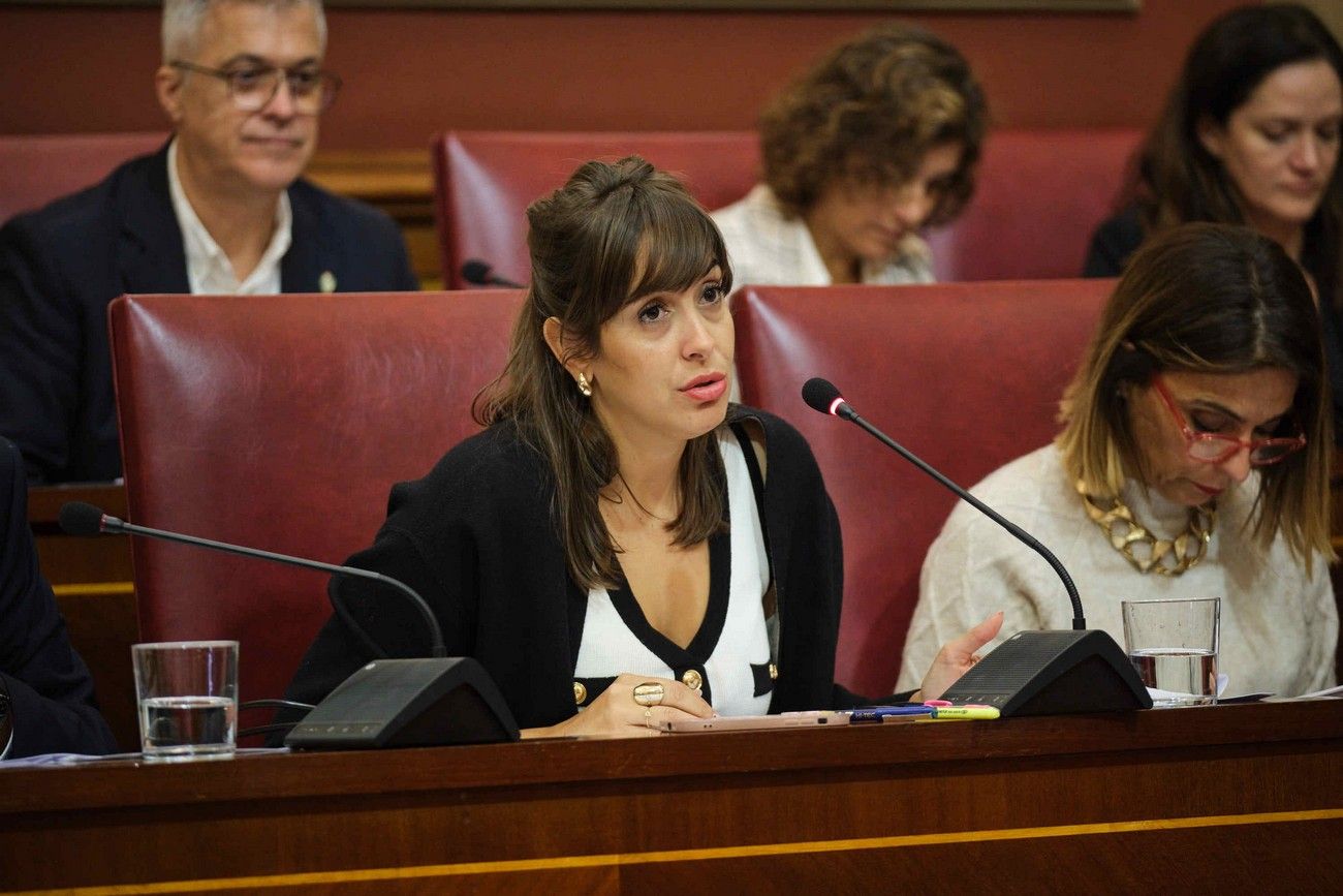 Pleno del Ayuntamiento de Santa Cruz de Tenerife (26 de enero de 2024)