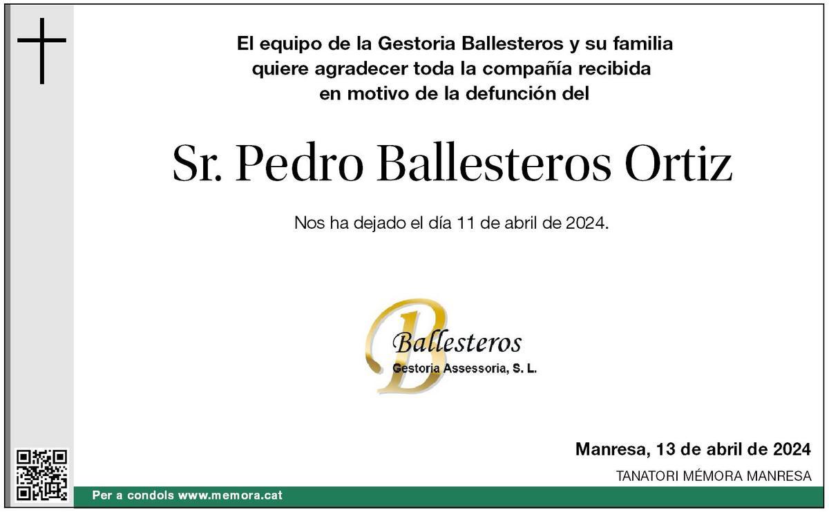 PEDRO BALLESTEROS ORTIZ