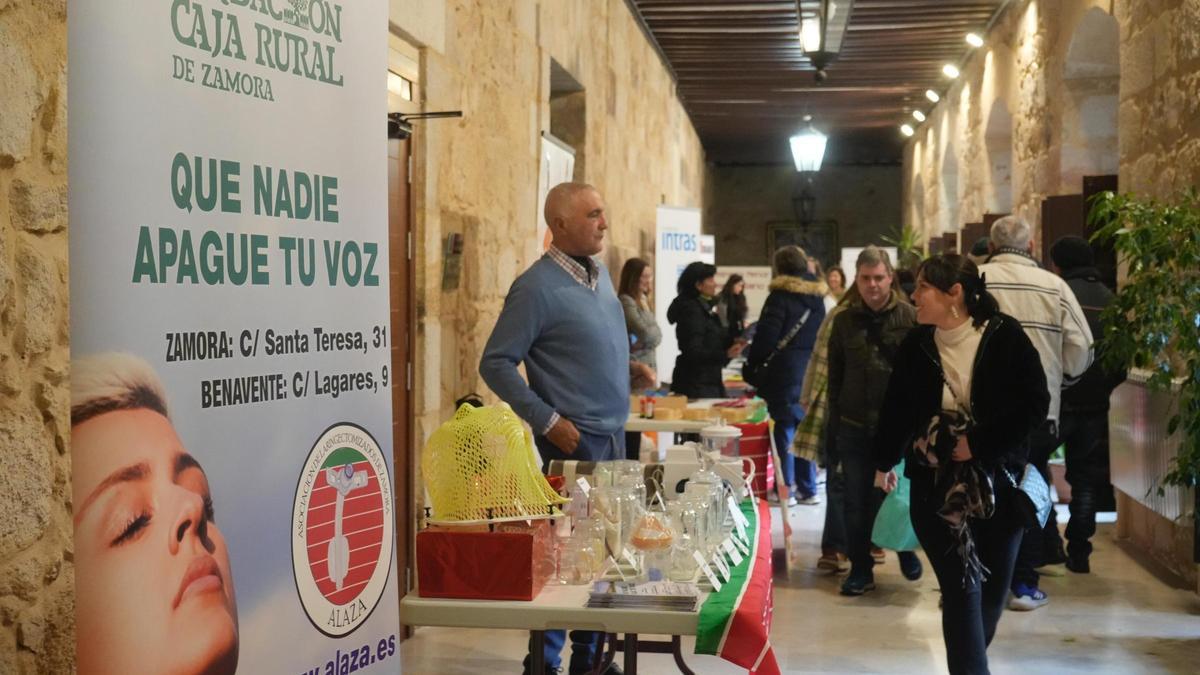 Mesas informativas de las entidades participantes en la Semana de la Diversidad Funcional en Zamora.