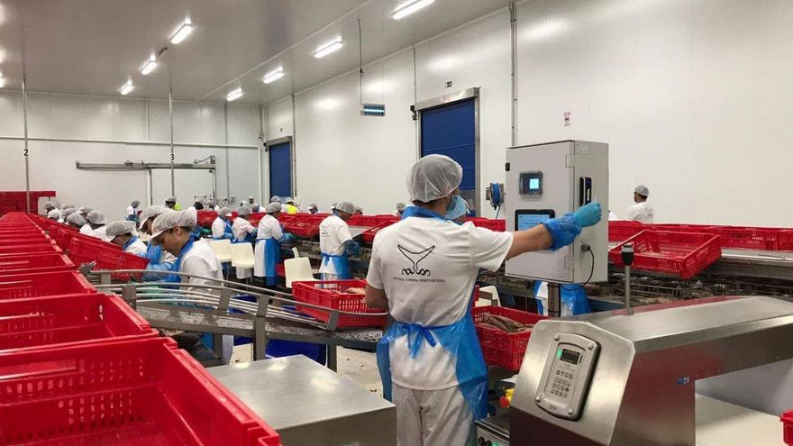 Marfrío eleva a 4,5 millones el roto de la gestión de Atunlo en Portugal