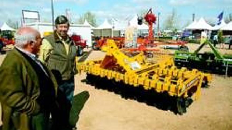 La modesta feria agraria de Córdoba