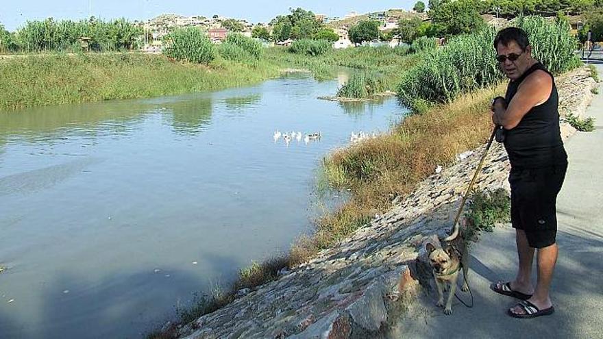 El Segura se encuentra con tres metros más de caudal que hace una semana a su paso por Rojales.