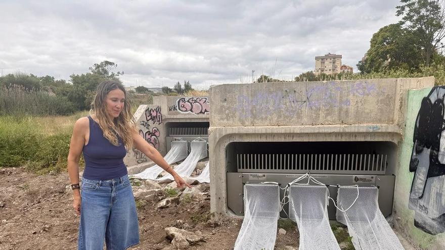 Elda “pesca” toallitas con redes en el cauce del Vinalopó pa