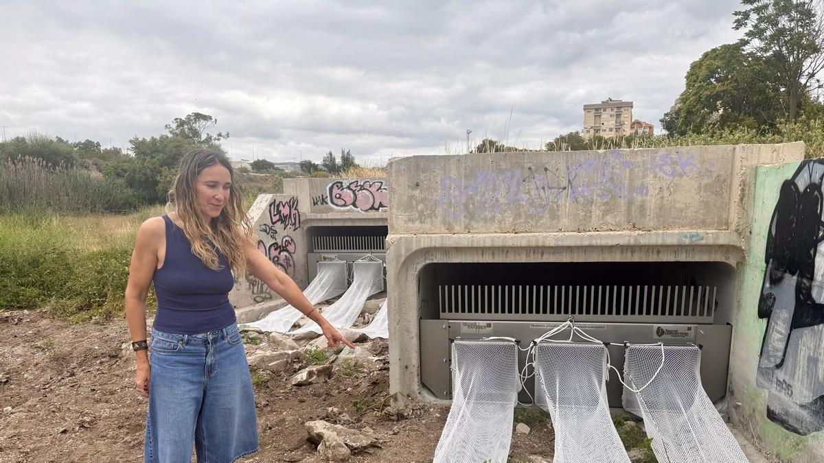 Sistema de redes que limitan la contaminación, que ha presentado la edil de Medio Ambiente.