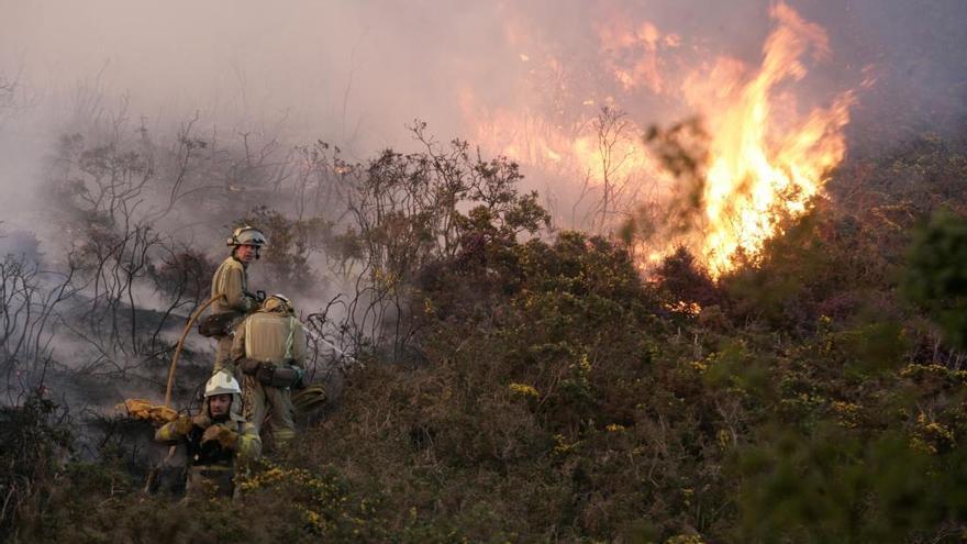 Los propietarios en zonas de alto riesgo de incendios podrán &quot;delegar&quot; la limpieza en la Administración