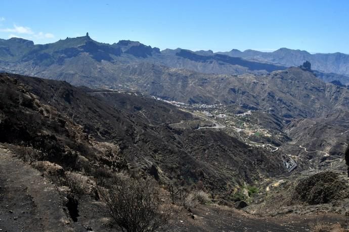 Los reyes de España dan su apoyo a la Cumbre