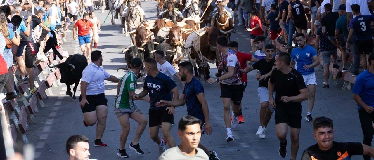 Un momento del segundo encierro de Moratalla, este martes por la tarde.