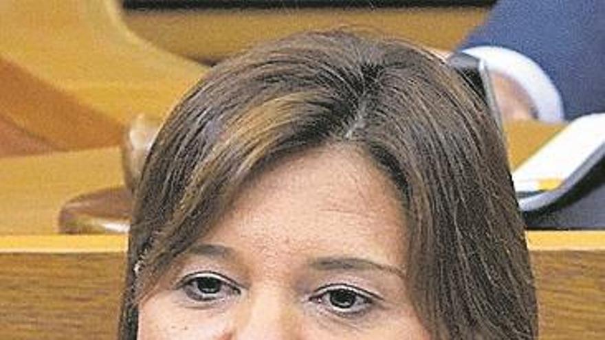 Bonig ve en el ‘Botànic’ «un problema de gestión»