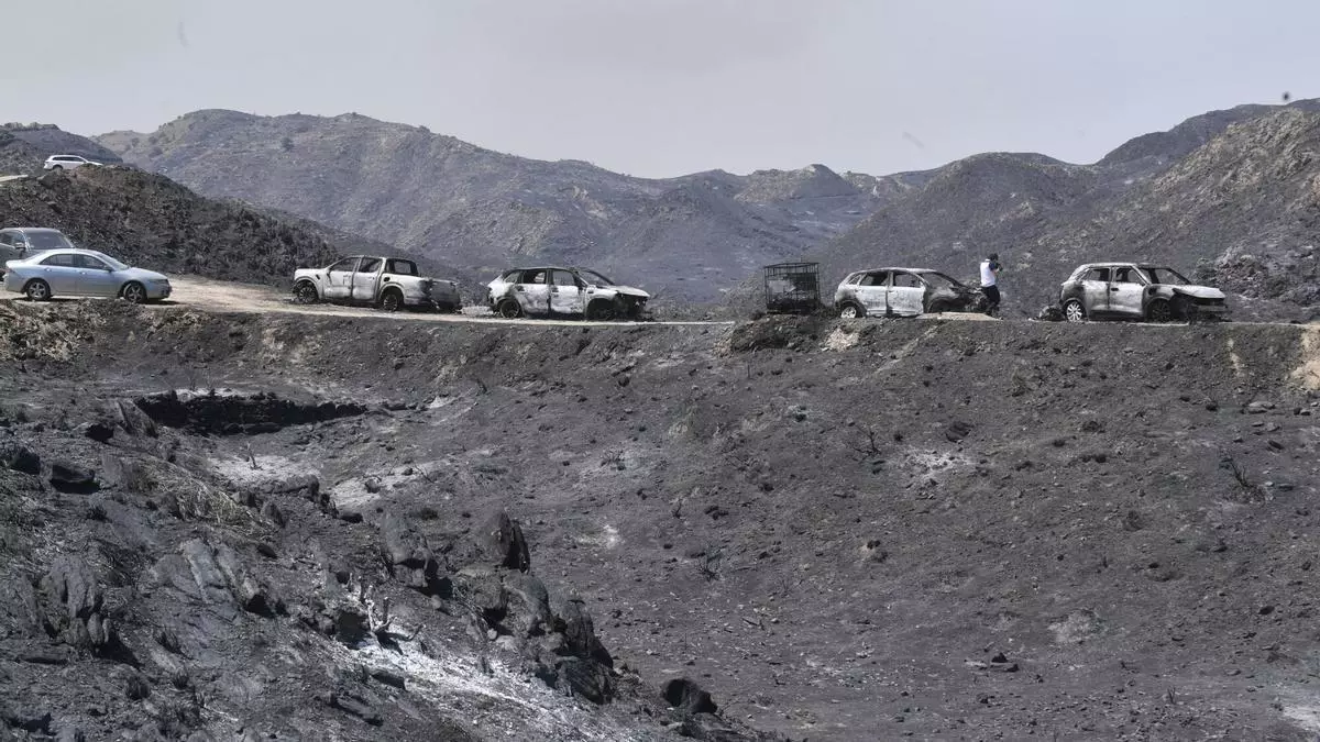Vox rebaja su tono con el PP sobre la gestión de los incendios: "La Junta de Andalucía llegó en el minuto uno y se fue en el último"