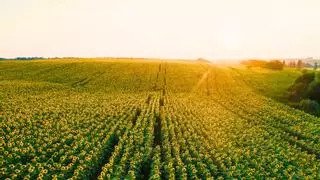 Lo siento Granada: el mejor destino para ir de tapas en Andalucía es una pequeña ciudad de Jaén, barata y sin postureo