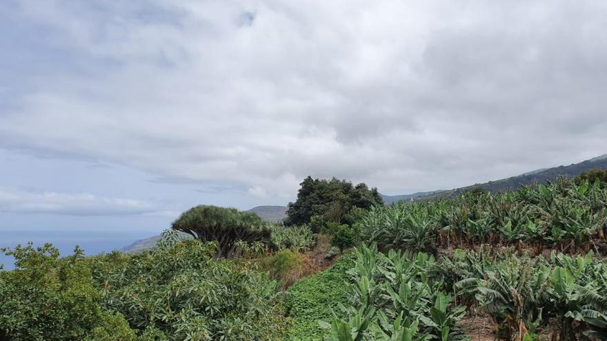 Cielos nubosos en el nordeste de La Palma.