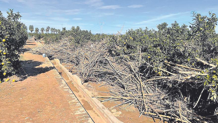 Las imposiciones de la CHJ y las ayudas insuficientes enervan al campo