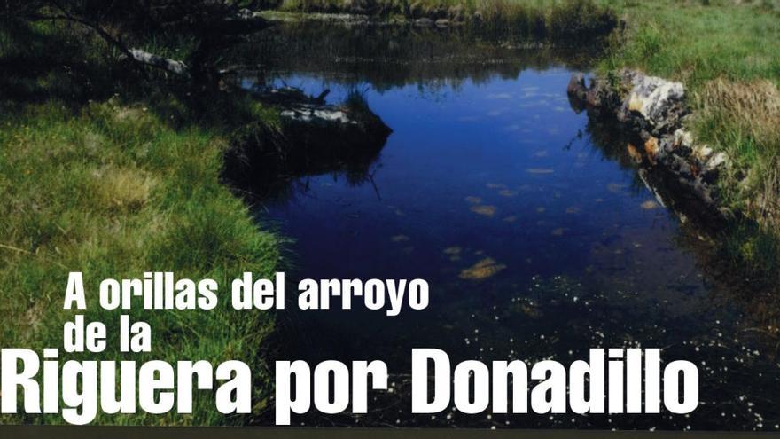 Nuestra propuesta semanal de rutas a pie por la provincia de Zamora. A orillas del arroyo de la Riguera por Donadillo.