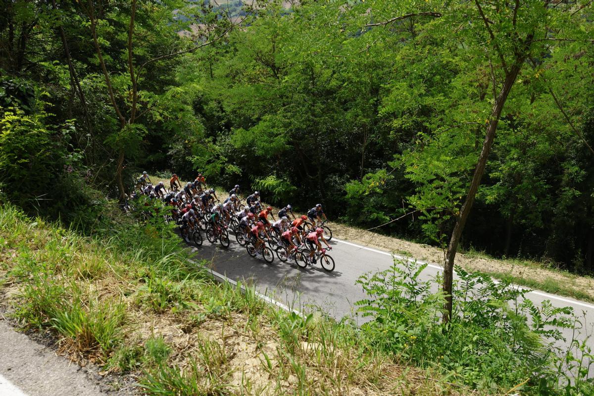 Tour de France 2024 - Stage 1