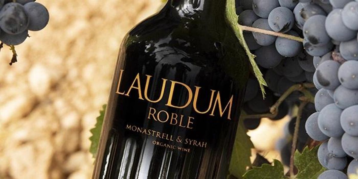 Laudum Roble, uno de los vinos más reconocidos de Bocopa.