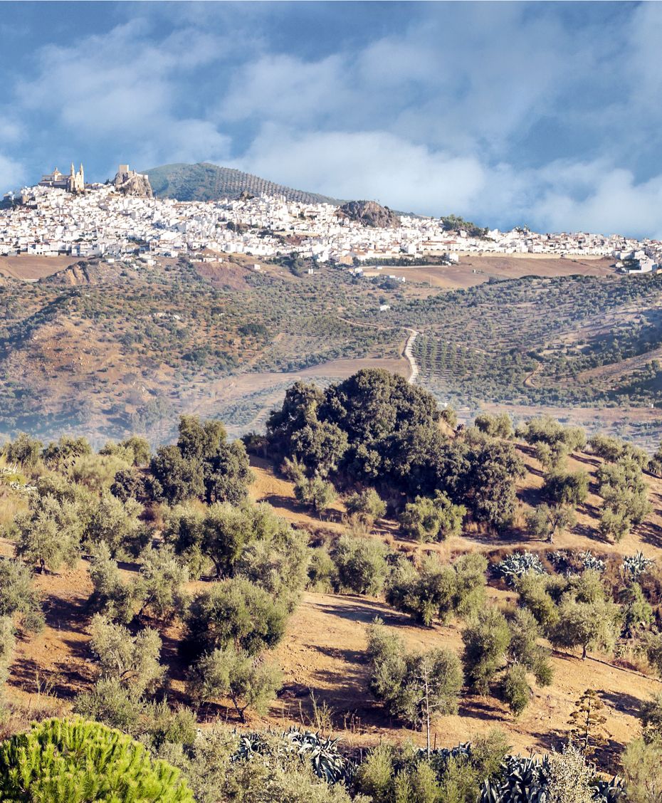 Imagen del espectacular pueblo de Olvera.