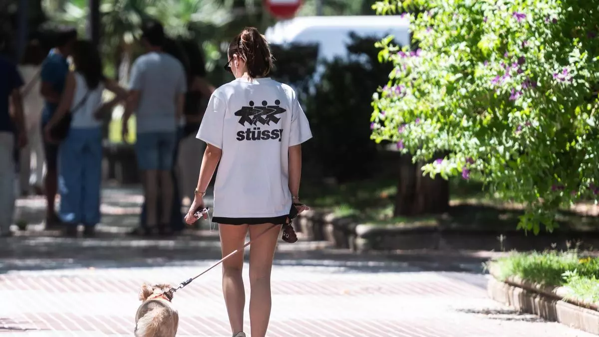 Los perros quintuplican a los menores de ocho años en Cáceres: "Los jóvenes se han vuelto más egoístas"
