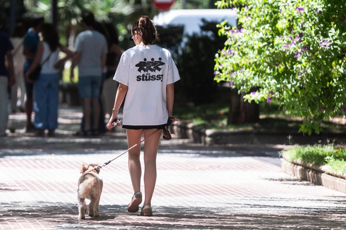 Una joven pasea con su perro por Cáceres.