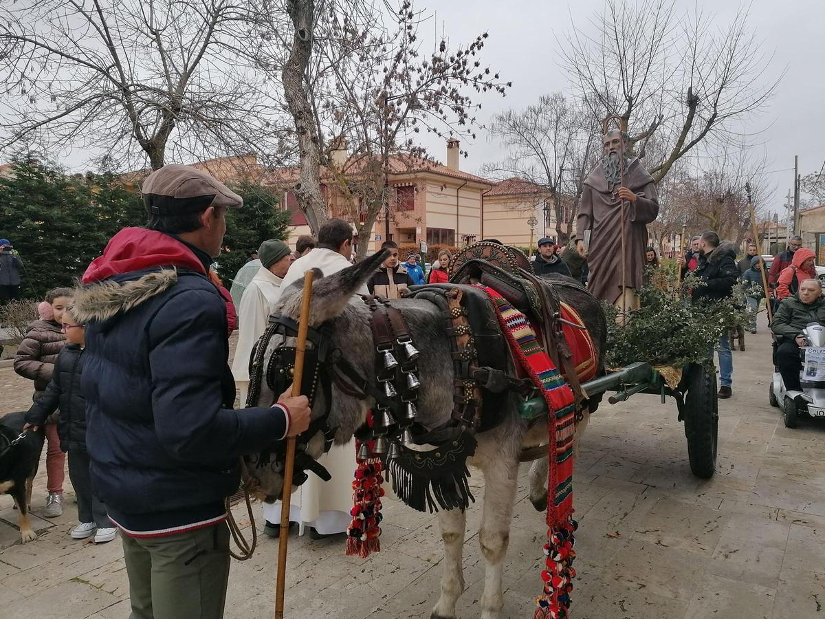 GALERÍA | San Antón procesiona por primera vez en Toro