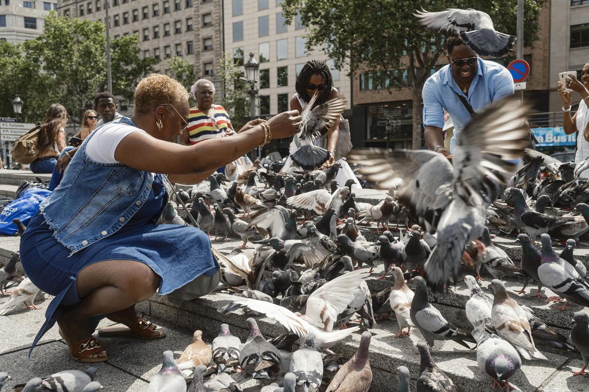 Unas personas dan de comer a las palomas en la plaza Catalunya, en Barcelona.