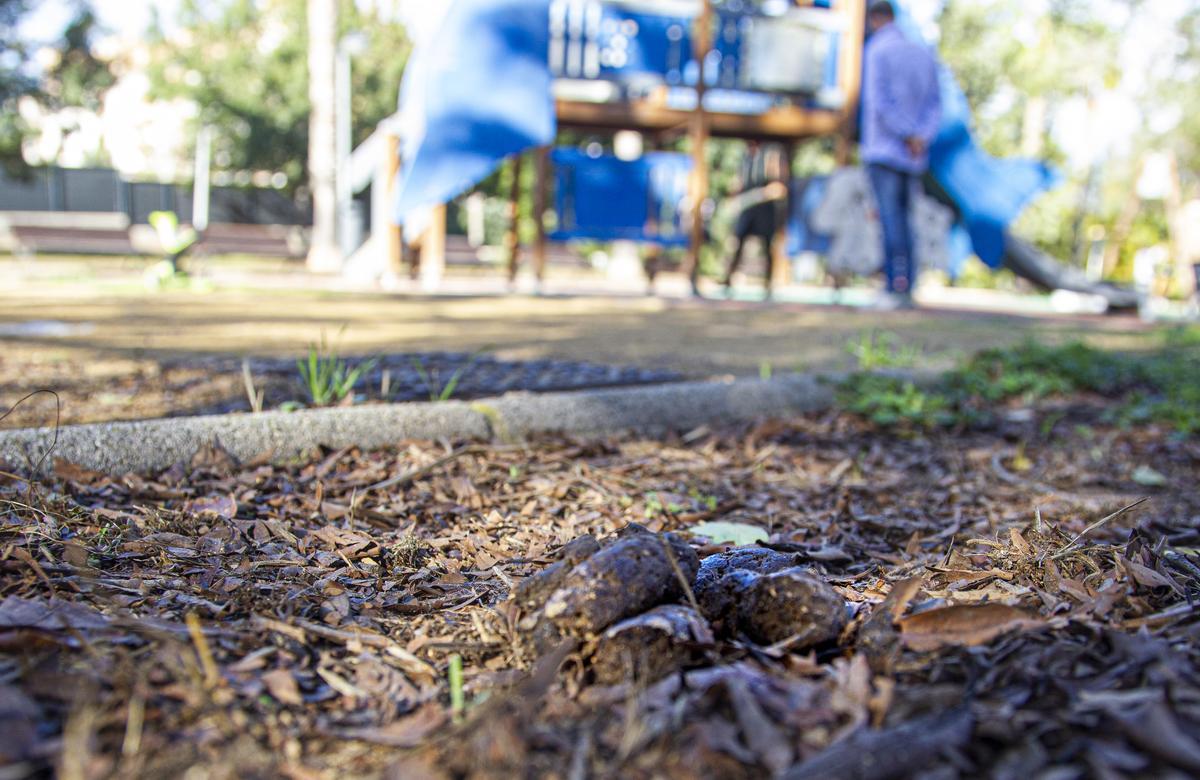Excrementos de perro en un parque infantil en Avenida de Países Escandinavos en Playa de San Juan.